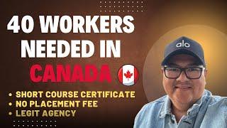 40 WORKERS NEEDED IN CANADA I SHORT COURSE CERTIFICATE I NO PLACEMENT FEE I BUHAY CANADA