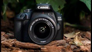 The Canon EOS 4000D is an Entry Level DSLR Full Review