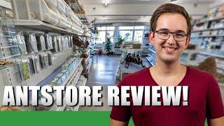 ANTSTORE REVIEW | Ant Holleufer Review