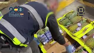 Desarticulada una organización criminal dedicada a introducir cocaína oculta en cajas de piñas