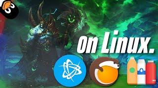 Installing World Of Warcraft On Linux In 2024! // BATTLE.NET INSTALL GUIDE
