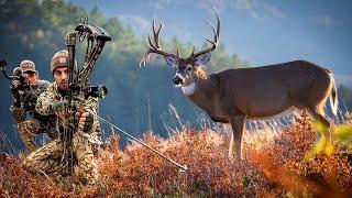 Chasing Bucks in the Mountains | November Spot and Stalk Hunt