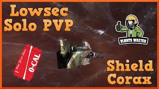 Lowsec Solo PVP [Shield Corax]