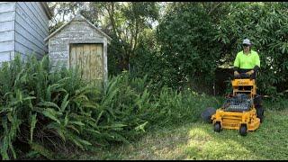 PART 2 Neglected to Perfect : A JUNGLE took this OLD HOUSE! EPIC YARD RESTORATION