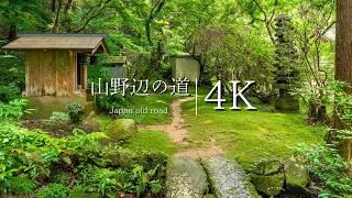 [Japan's oldest road] Mountainside road | Miwa Station → Walk along Ishigami-kami - JAPAN in 4K