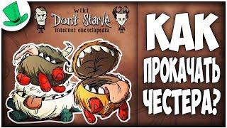 Don't Starve Wiki | КАК ПОМЕНЯТЬ СКИН ЧЕСТЕРУ?