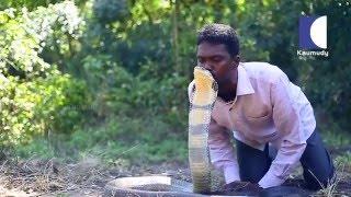 Vava Suresh Kissing the Deadliest Snake - The King Cobra !! in Kerala | Snake Master | Kaumudy TV