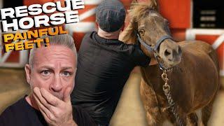 RESCUE HORSE "TUCKER" gets a MUCH NEEDED ADJUSTMENT after YEAR with PAINFUL FEET!