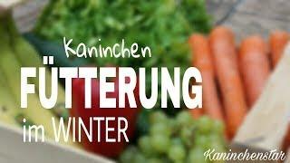 Unsere Kaninchenfütterung im Winter   | Kaninchenstar