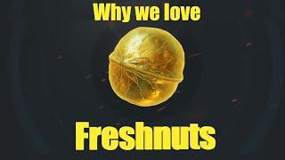 Why we love Freshnuts (and how I got on)