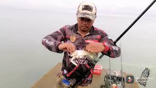 Teknik pancing ketam dan cara pasang jaring pancing #pancingketam #fishing #kepiting #crab