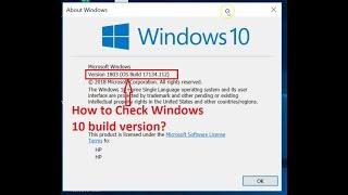 How to Check Windows 10 Build Version?