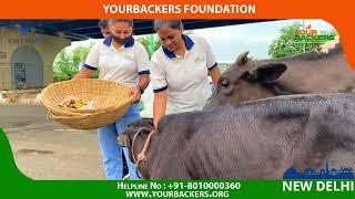 20th Sep 2022 Feed the Stray Animals – An initiative by the Yourbackers New Delhi