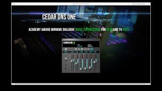 CEDAR Studio DNS One overview