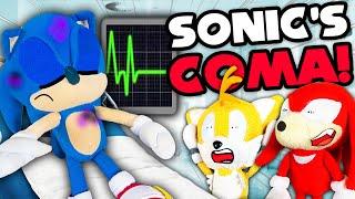 Sonic's Coma! - Sonic and Friends