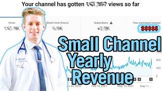 How Much Youtube Paid My First Year, as a Medical Student