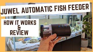 Juwel Easy Feed automatic fish feeder review - how to use it and how long it lasts