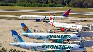 Holiday Rush Begins Spotting TPA