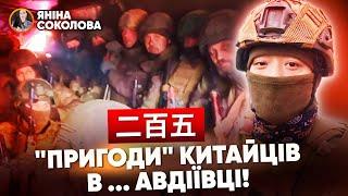 ️The Chinese are already fighting on the side of terrorist russia against Ukraine! Video evidence