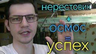 Секреты успешного нереста дискусов. Подготовка нерестовика и воды.