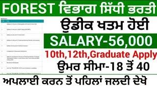 Punjab Forest Department Recruitment 2024 |Forest Department Bharti 2024,Punjab Govt Jobs Dec 2024