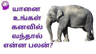 கனவில் யானையை காண்பது | Elephant dream meaning in tamil