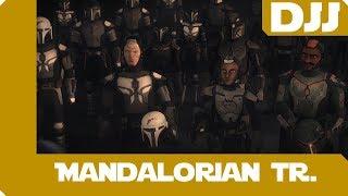 Mandalorian Tribute (BY ECHO CT-1409)