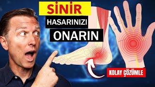 Sinir Hasarı Nasıl Onarılır?! | Dr. Berg Türkçe