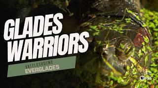 Guardians of The Glades: A Mission to Save Florida’s Waters | Battleground Everglades