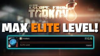 Escape From Tarkov PVE - How To MAX OUT Your Intellect Skill! How To Get To Elite Level Efficiently!