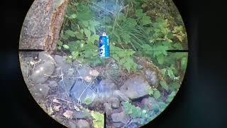 FX Impact MkII in .30 Cal shooting my 39.5gr Hybrid slug @ 960 fps vs water filled can @ 41 yards