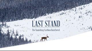 Last Stand (Trailer) - The Vanishing Caribou Rainforest