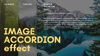 How to make Image Accordion Slider with HTML & CSS tutorial