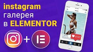 Как установить инстаграм галерею на Elementor WordPress в бесплатной версии. Плагин Instagram Feed