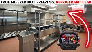 HVACR Service Call: TRUE Freezer Not Freezing(Commercial Freezer Not Cooling)Refrigerant Leak Repair