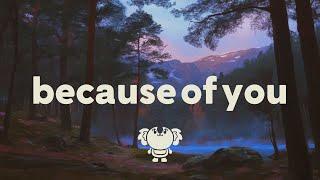 Lauv - Because Of You (lyrics)