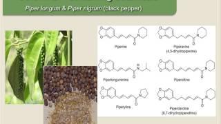 Pharmacokinetic Interactions: Other Examples