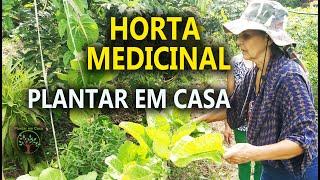 01 Horta Medicinal  com Sandra Ricco em Giro no Plantar em Casa