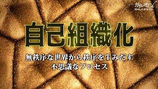 自己組織化 無秩序な世界から秩序を生みだす不思議なプロセス