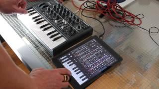 Sawtooth Arturia Micro Brute vs. Moog Model 15 App