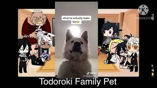 Pro hero’s react to pet