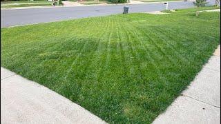 DIY Lawn Striping Kit with 3" PVC - Is it worth it???