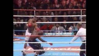 Roy Jones Jr vs Bernard Hopkins 1 & James Toney Highlights