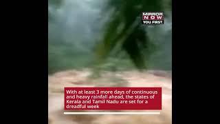 House falls into river amidst heavy rains in Kerala & Tamilnadu #shorts #keralanews #tamilnadunews