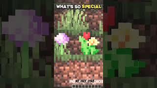 100x zoom with samsung s99 ultra #edit #memes #minecraft #gaming #minecraftmemes #minecraftshorts