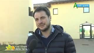 Puntata del 24/3/19 – 3° parte – Agricoltura conservativa