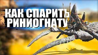 Как РАЗВОДИТЬ Риниогнату в игре ARK: Survival Evolved. Лучший обзор