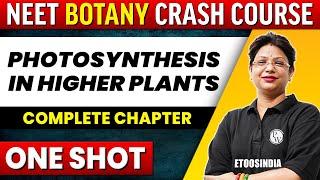 PHOTOSYNTHESIS IN HIGHER PLANTS in 1 shot - All Concepts, Tricks & PYQ's Covered | NEET | ETOOS