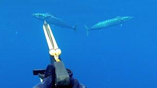 Spearfishing Western Australia