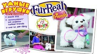 Интерактивный Щенок GoGo FurReal Friends на 15Toys RU